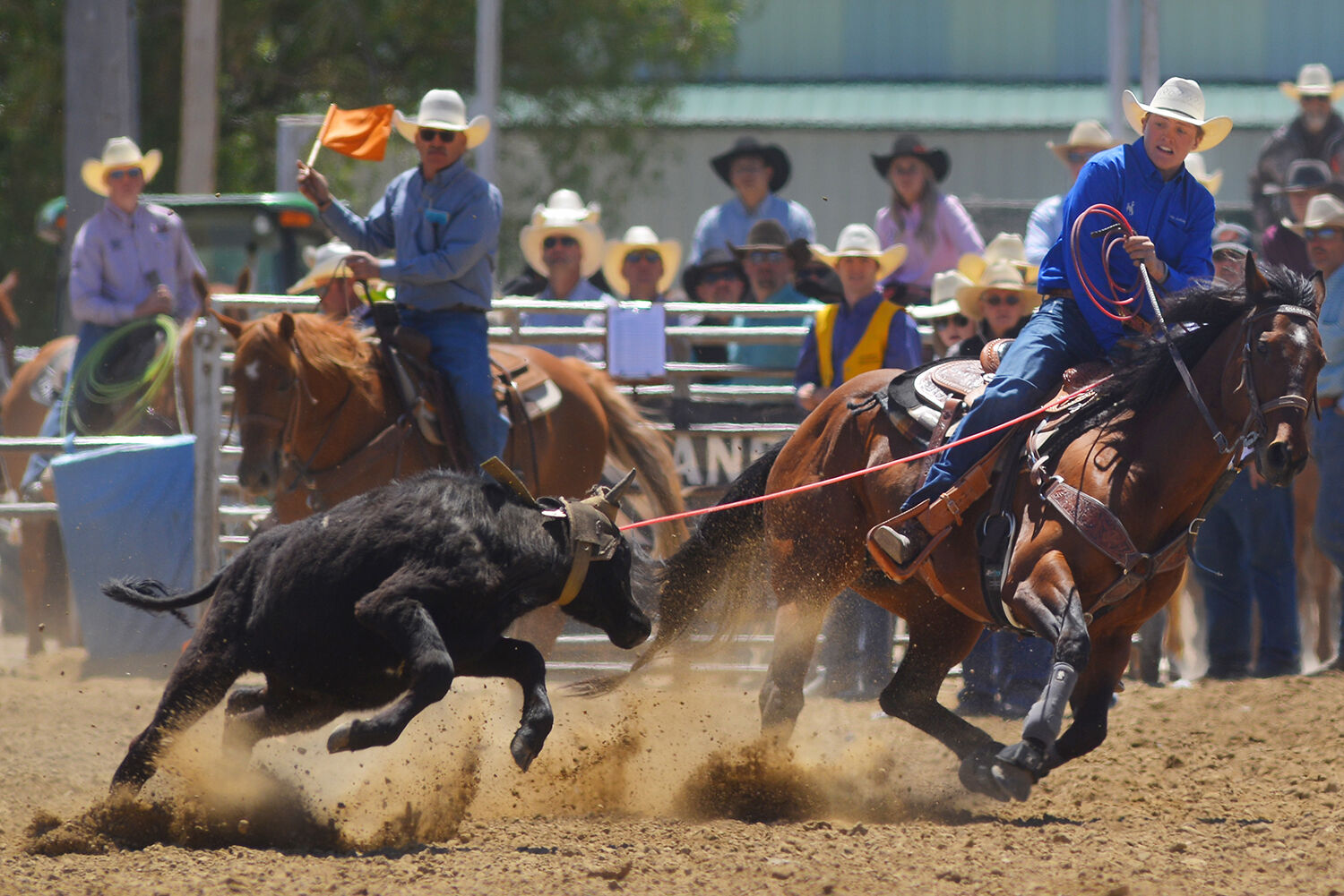 Coy Johnson turns the steer left